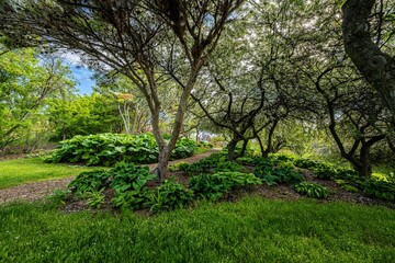 Arboretum and Botanical Garden in Moscow, Idaho