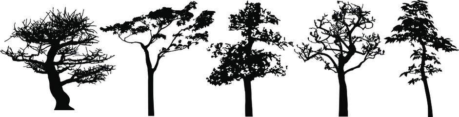 Vector silhouette of trees. Isolated eps 10.