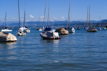Obraz premium Scenic landscape with moored sailing boats at lakeshore of Lake Zürich at City of Zürich on a sunny summer day. Photo taken June 11th, 2022, Zurich, Switzerland.