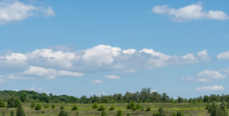 pogodne błękitne niebo z białymi chmurami obłokami nad zieloną trawą - obrazy, fototapety, plakaty