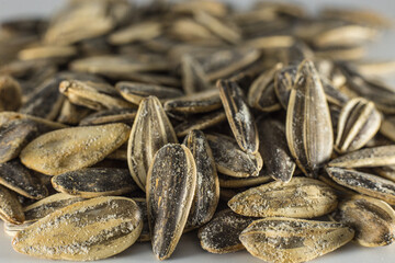 sunflower seeds on gray background