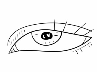 Eye line art. Human organ. Black vector icon on white background.