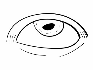 Eye line art. Human organ. Black vector icon on white background.