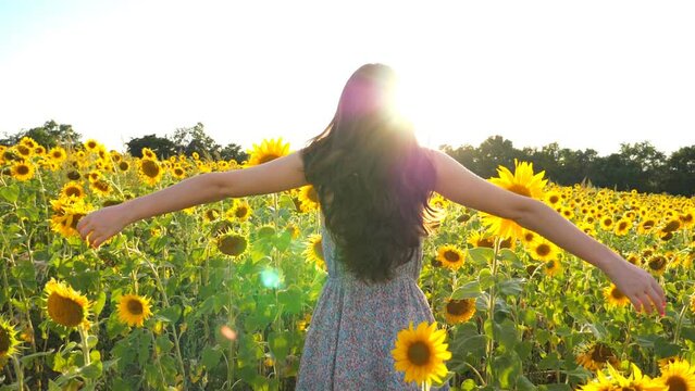 Attractive girl standing among sunflowers field and raising hands. Woman enjoying freedom or beautiful nature. Scenic landscape with bright sunlight at background. Outdoor leisure concept. Back view