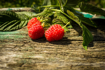 Fresh, juicy raspberries.