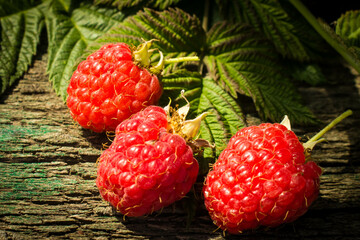 Fresh, juicy raspberries.