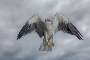 I'm outta here...It's gonna rain!!!