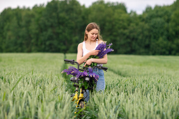 Fototapeta premium A cute girl is standing with a bouquet of lupines in a field near a bicycle