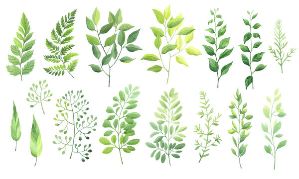 single green leaves clipart