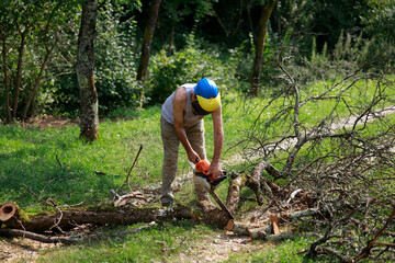Senior Man Removing Fallen Tree Obstacle from a Country Road Using a Motor Chainsaw