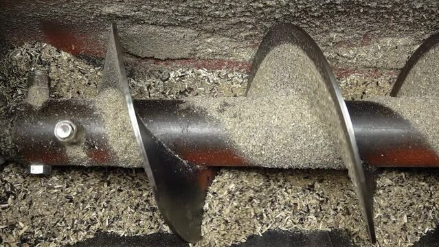 Metal auger rotates and grinds sunflower seeds for oil extraction. Process of sunflower oil production. Wringing, crushed, milling oilseed plants on modern industrial equipment. Close up. Slow motion.
