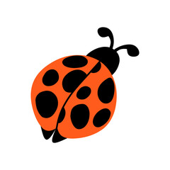 Obraz premium Cute cartoon insect ladybug isolated on white background