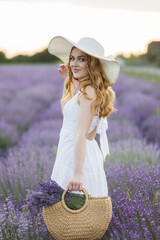 Girl in a lavender field. Woman in a field of lavender flowers at sunset in a white dress. France, Provence.