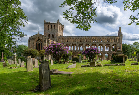 view of the Augustinian Jedburgh Abbey ruins and cemetery in southern Scotland