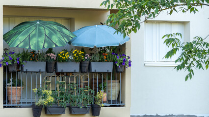 Balcony of a house, adorned with umbrellas and flowered and colorful planters, in spring