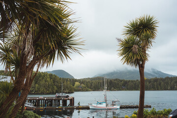 Vancouer Island vibes in summer