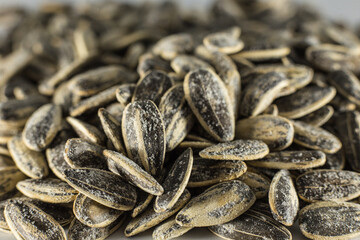 sunflower seeds with salt on gray background