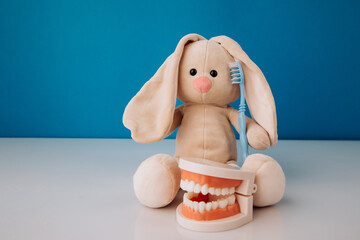 Bunny toy with toothbrush and model of a human jaw with white teeth on a blue background, children's dentistry and hygiene - obrazy, fototapety, plakaty