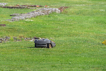 Automatic robotic lawn mower mows grass on a green lawn on a summer day, modern lawn care...