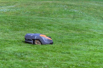 Automatic robotic lawn mower mows grass on a green lawn on a summer day, modern lawn care...