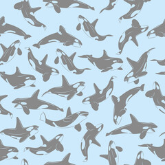Fototapeta premium Vector illustration Pattern killer whale on blue background endless pattern