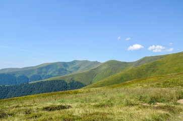 Summer landscape with green grassy slopes on the mountain ridge. Carpathian Mountains. Hiking and tourism concept