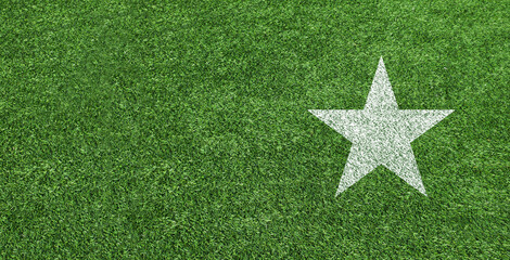 芝の上に白で書かれた星マーク