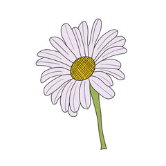 Cartoon flower with petals hand drawn isolated on white background. Vector illustration. Flat design.
