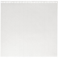 Checked spiral notebook page paper background, old aged white chequered ring binder sheet flat lay A4 copy space, isolated horizontal grey squared pattern maths notepad, torn out stapled blank empty - 513061224