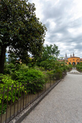 University of Padua Botanical Garden in Padua on a summer day