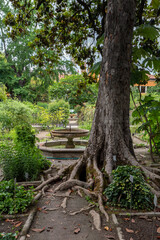 University of Padua Botanical Garden in Padua on a summer day