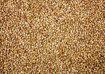 Buckwheat background.Natural buckwheat groats background banner.