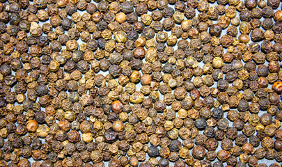 Dried black pepper background. Black pepper grains. Pepper seeds.