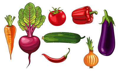 Vector illustration set of realistic vegetables, carrot, beetroot, tomato, cucumber, chili pepper, onion, bell pepper, eggplant