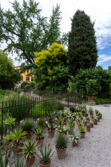 University of Padua Botanical Garden in Padua on a summer day