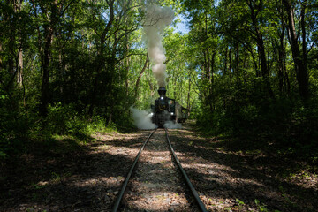 Steam Train in Hungary