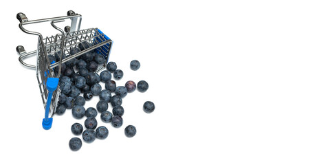 Blueberries shop