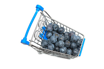 Blueberries shop
