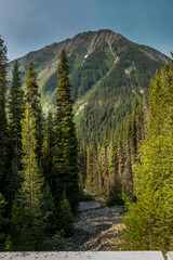 Rockies, forest, river under storm ladden skies Banff Windermer HWY Kootenay National Park British Columbia Canada