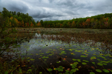Autumn lake in the forest and dramatic weather. USA. Maine.