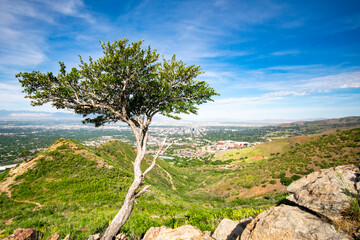 Looking from Nature to Salt Lake City
