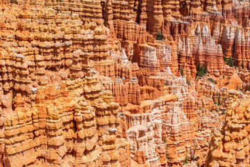 Bryce Canyon Texture
