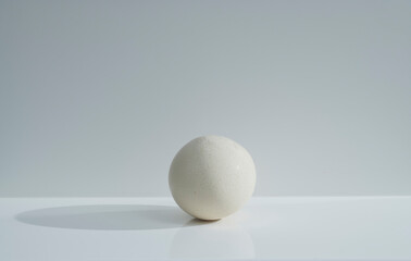 a large milky white ostrich egg on a white background with light shadows. with empty space abstract image white on white for background with ellipsoid oval egg