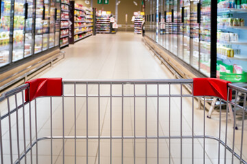 Metal grocery cart close-up against the background of refrigerated shelves with products. Shopping...