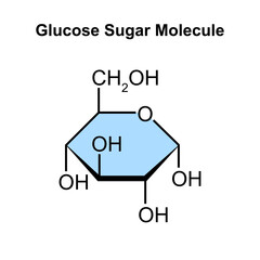 Chemical Illustration of Glucose Sugar Molecule. Vector Illustration.