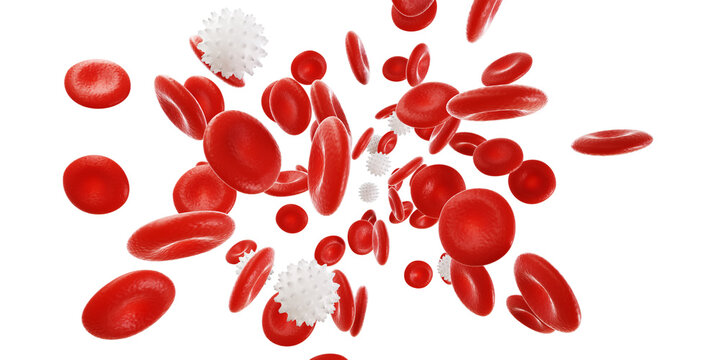 Red and White Blood Cells Vein Medicine science concept. 3d Render illustration