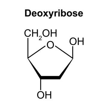 Chemical Structure of Deoxyribose Sugar Molecule. Vector Illustration.