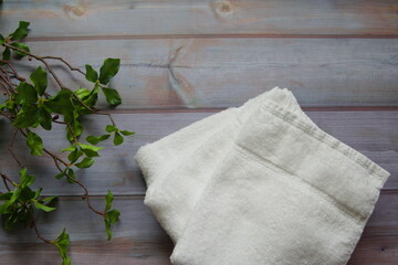 緑の植物と白いタオルの写真