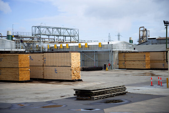 Sawmill for the Timber Industry