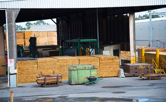 Sawmill for the Timber Industry